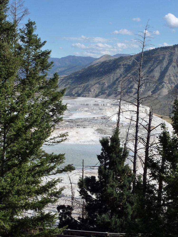 Yellowstone Mammoth Hotsprings (86).JPG